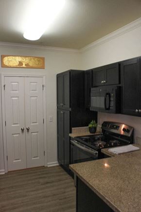 Baton Rouge apartment for rent - a kitchen with black cabinets and a stove and
