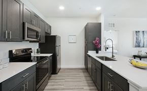 Baton Rouge apartment for rent - A kitchen with black cabinets and appliances.