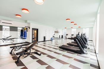 Gym with free weights, cardio machines & yoga