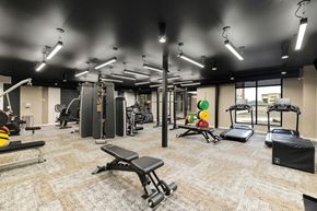 Fargo apartment for rent - A gym with a variety of equipment including a squat rack, bench, and weights.