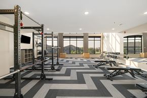Fargo apartment for rent - A gym with a variety of equipment including weightlifting machines and a squat rack.