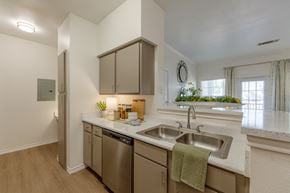 Lubbock apartment for rent - A kitchen with a stainless steel dishwasher and a green towel hanging on the sink.