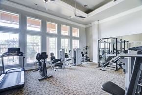 Lubbock apartment for rent - A spacious gym with a variety of equipment including treadmills, weights, and a squat rack.