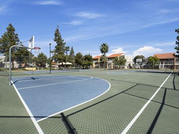 Basketball court