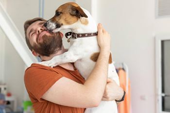 Pet-friendly policies and spaces