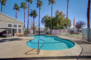 Las Vegas apartment for rent - A pool surrounded by palm trees and a fence.