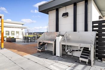Rooftop dog run and washing station