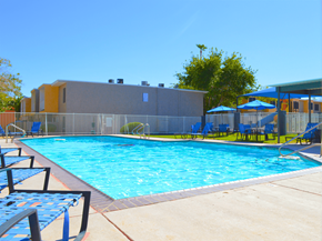 Las Vegas apartment for rent - a swimming pool at a hotel with chairs and umbrellasat Summer Meadows, Las Vegas