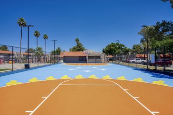 Basketball court