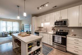 Raleigh apartment for rent - Kitchen
