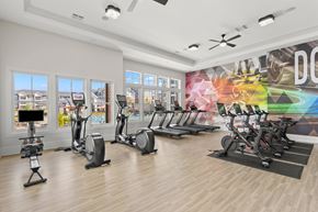 Durham apartment for rent - A gym with exercise equipment and a wall mural.