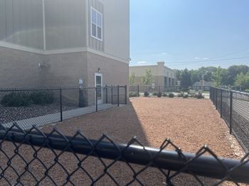 Fenced in dog area