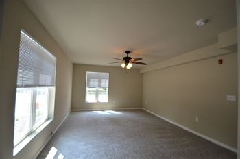 Carpeting