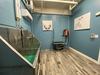 Dog washing station