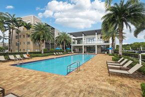 Miramar apartment for rent - A swimming pool surrounded by palm trees and lounge chairs.
