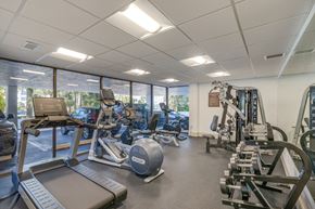 Bay Harbor Islands apartment for rent - a gym with cardio equipment and weights in a building with windows