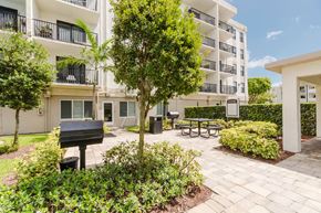 Hialeah apartment for rent - A tree in a landscaped courtyard in front of apartment buildings.