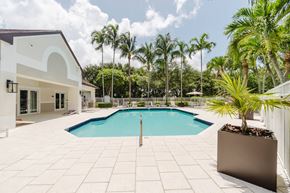 Davie apartment for rent - A pool surrounded by a white tile patio and palm trees.