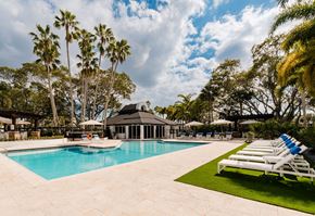 Coconut Creek apartment for rent - A pool surrounded by palm trees and lounge chairs.