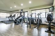 Miami apartment for rent - A gym with treadmills, exercise bikes, and other equipment.