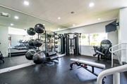 Kendall apartment for rent - the gym is stocked with weights and cardio equipment