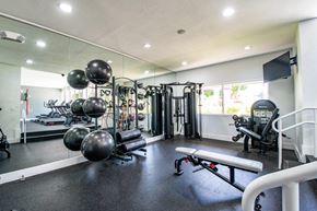 Kendall apartment for rent - the gym is stocked with weights and cardio equipment