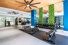 Miami apartment for rent - a gym with weights and a green wall
