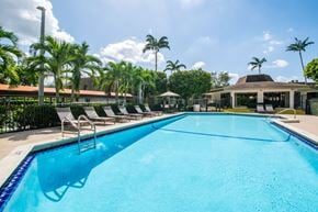 Kendall apartment for rent - A large swimming pool surrounded by palm trees and lounge chairs.