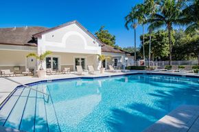 Davie apartment for rent - a swimming pool with lounge chairs and trees in the background