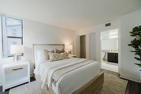 Coconut Creek apartment for rent - A bedroom with a large bed, a nightstand with a lamp, and a plant.