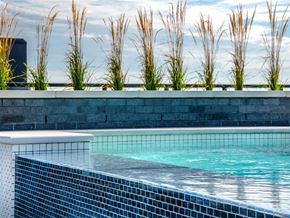Washington apartment for rent - a swimming pool with blue tiles and tall grass in the background