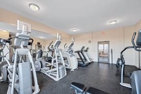 Arlington apartment for rent - A gym with a variety of exercise equipment including treadmills, elliptical machines, and weight machines.