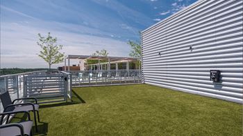 Rooftop dog park