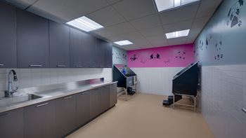 Pet grooming stations
