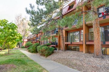 Boulder apartment for rent - A tree is next to a building.