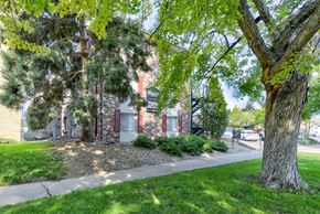 Denver apartment for rent - A tree in a grassy area in front of a building.