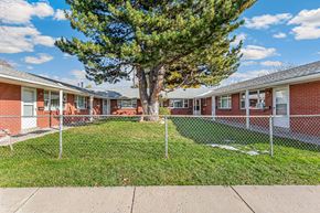 Wheat Ridge apartment for rent - A tree in front of a row of houses.
