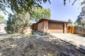 Boulder apartment for rent - a house with a brown garage door and a tree in front of it