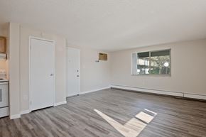 Westminster apartment for rent - A spacious room with a window and a rug on the floor.