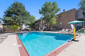 Denver apartment for rent - A swimming pool surrounded by trees and chairs.
