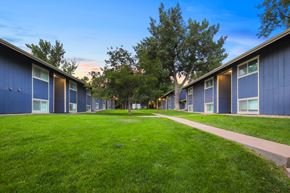Littleton apartment for rent - A row of blue buildings with a tree in the middle.