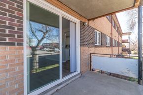 Denver apartment for rent - A view of a tree through a window of a building.