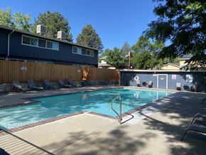 Littleton apartment for rent - A swimming pool surrounded by a wooden fence and lounge chairs.