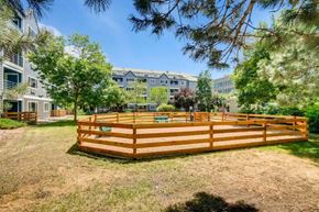Boulder apartment for rent - A wooden fence in a grassy area with trees and buildings in the background.