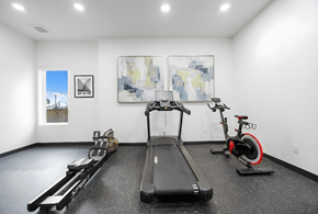 Denver apartment for rent - A spacious room with a treadmill, rowing machine, and stationary bike.