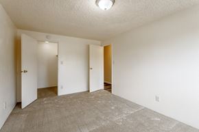 Fort Collins apartment for rent - the spacious living room and dining room of an apartment