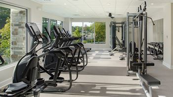Fitness center with cardio equipment, fixed weight machines, free weights and stretching mats