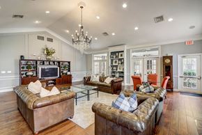 Herndon apartment for rent - a living room with couches and a tv