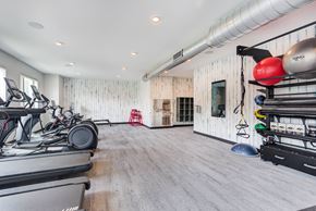 Downers Grove apartment for rent - the gym with treadmills and weights in a room with white walls and wood