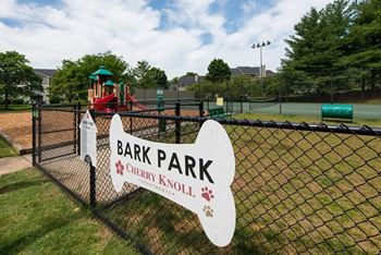 Dog park
